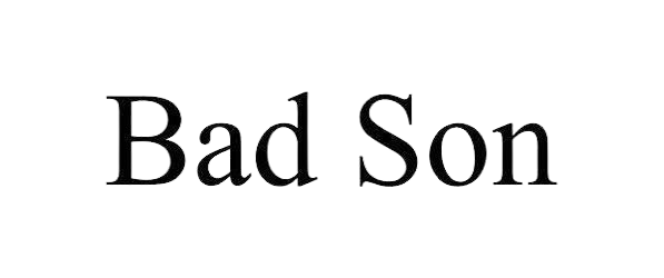 https://badson.com.co/
